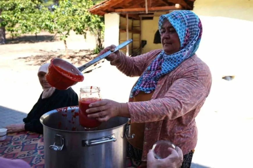 Salça makinesi domates üreticisinin yüzünü güldürdü